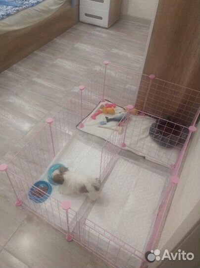 Вольер для щенков в квартиру