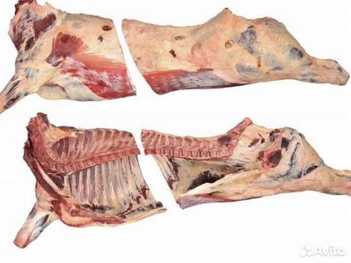 Мясо говядина оптом