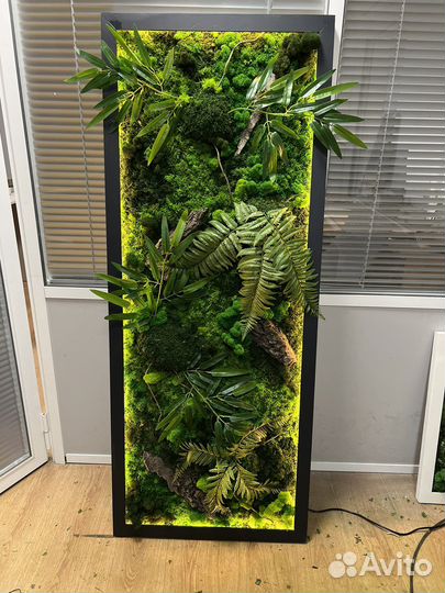 Картина из мха(ягель) / подарки/панно