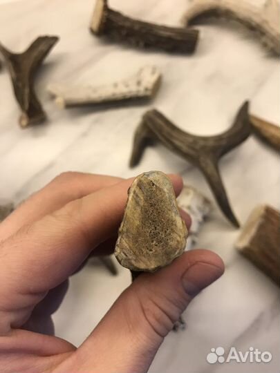 Лакомства для собак