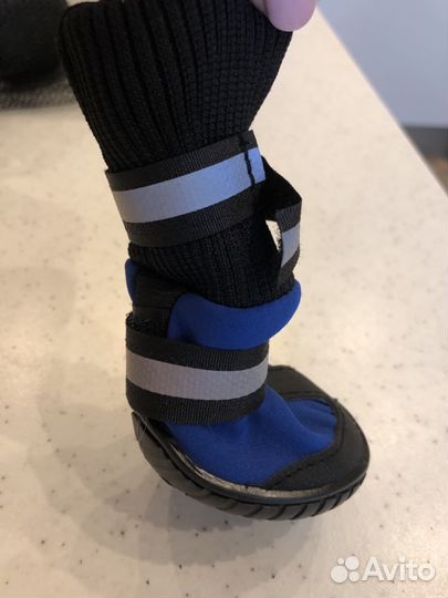 Сапожки для собак