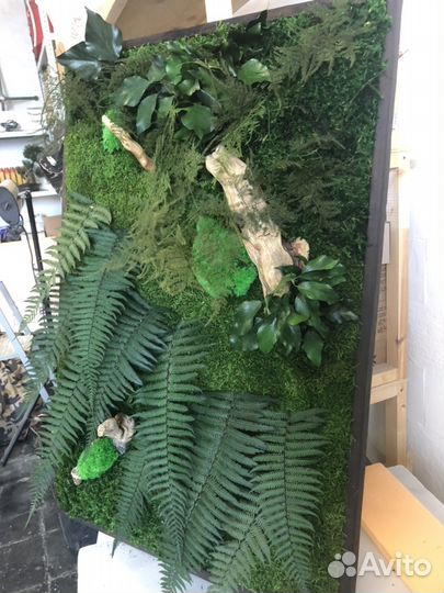 Картины из мха и растений