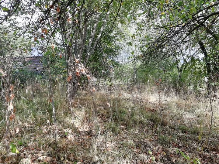 Участок 36,5 сот. (личное подсобное хозяйство (лпх))