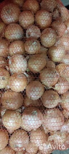 Картофель и овощи