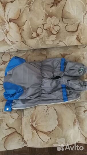 Комбинезон для таксы