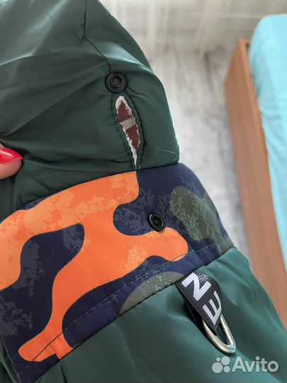 Зимняя куртка для собаки