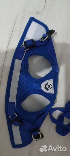 Шлейка для маленькой собаки