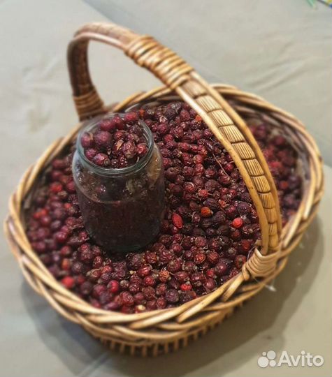 Шиповник сушеный, плоды