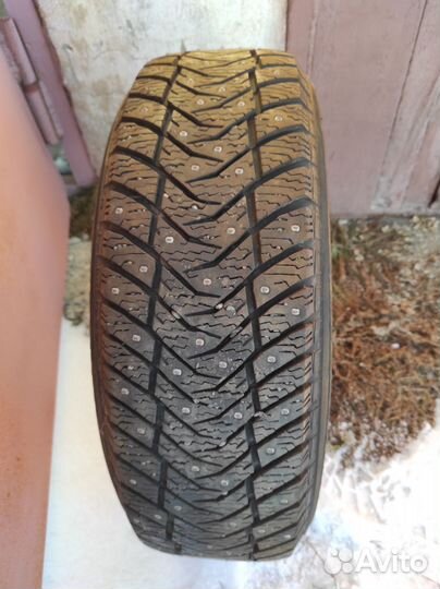 Yokohama Ice Guard IG65 205/60 R16 99T