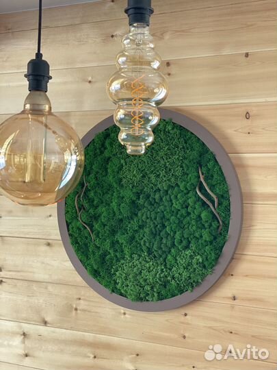 Панели из стабилизированного мха