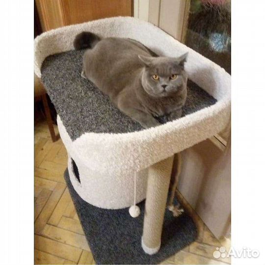 Игровой комплекс для крупных кошек с большим домом