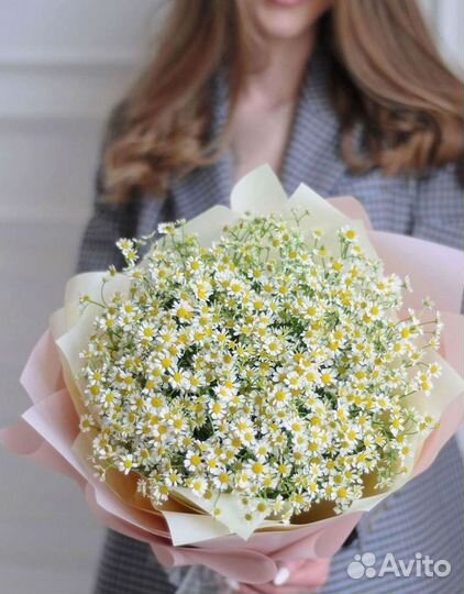 Цветы ромашки. Букеты ромашек. Цветы доставка
