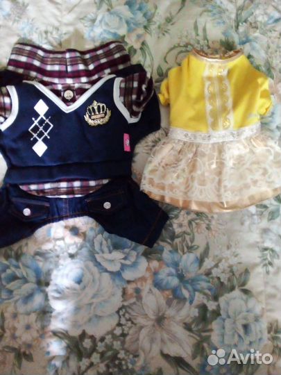 Одежда для собак