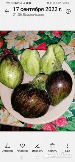 Коллекционные сорта томатов