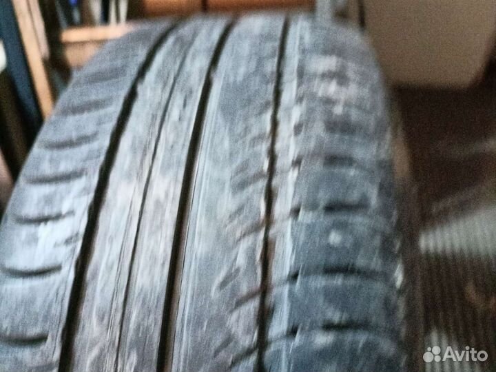 Nokian Tyres Nordman SX 205/55 R16 91N