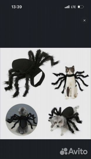 Костюм для животных