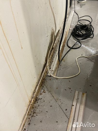 Дезинфекция в квартире уничтожение тараканов клеще