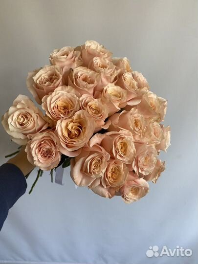 Розы Шиммер