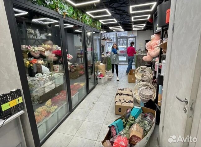 Роза кустовая Опт