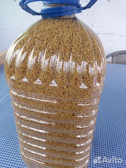 Пыльца пчелиная 2024