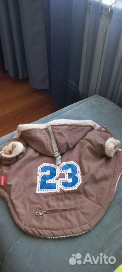 Тёплая одежда для собак