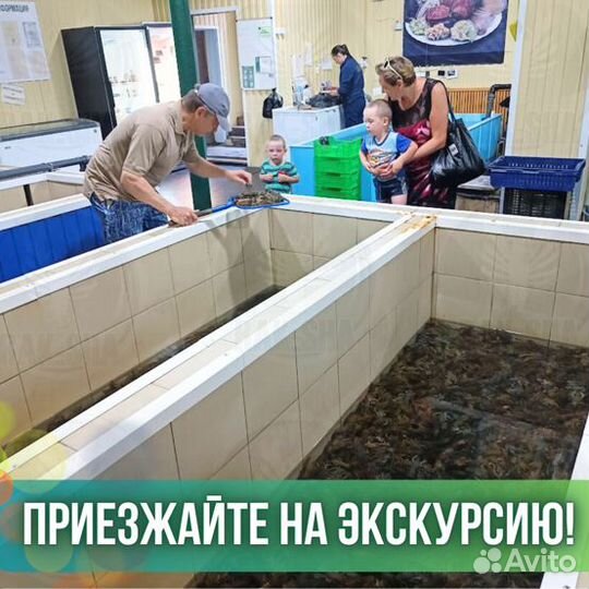 Печень трески по Мурмански в стекле