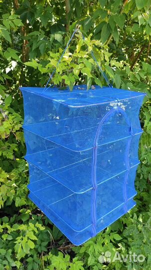 Сушилка для рыбы, грибов и фруктов