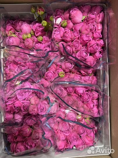 Цветы оптом в г. Елец