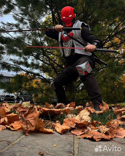 Красный Ронин (Red Ronin)