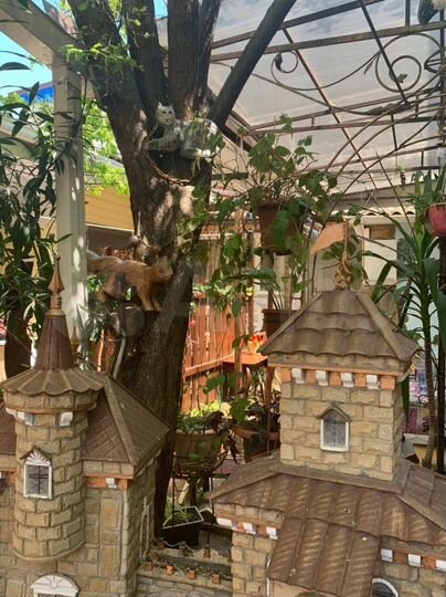 Комната 15 м², 1/2 эт.