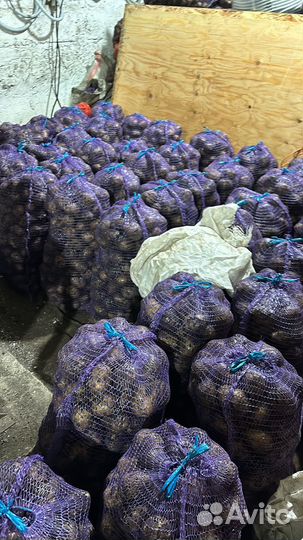 Продам картофель