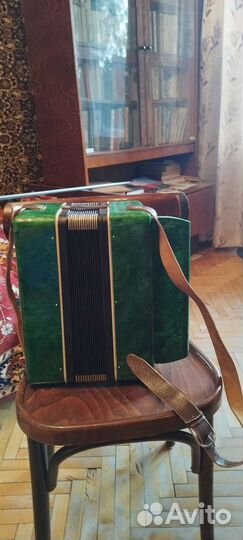 Гармонь Ромашка