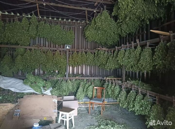 Веник для бани и травы Полынь донник опт