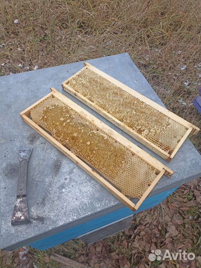 Рамки с вощиной