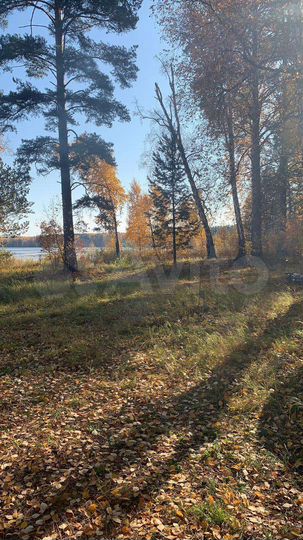 Участок 7,8 сот. (СНТ, ДНП)