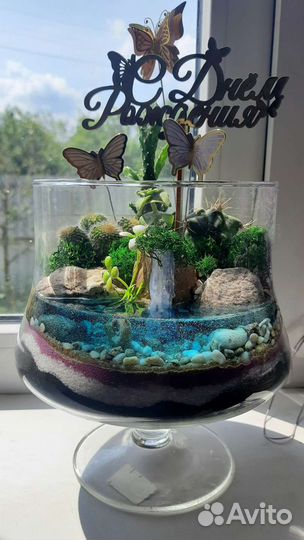 Флорариум суккуленты