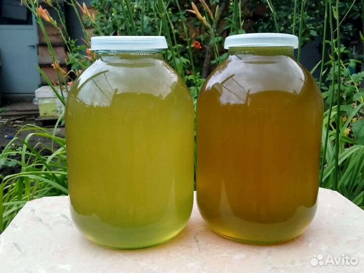 Свежий мед липы, акации, майский, разнотравие2023