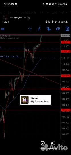 Профессиональное обучение трейдингу
