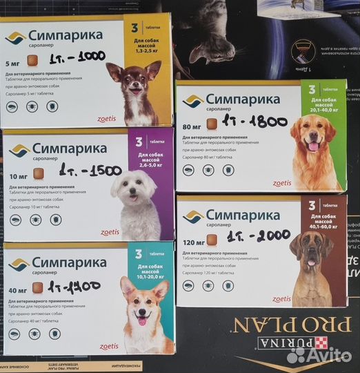 Ветеринарные манипуляции на дому(кошки,собаки)