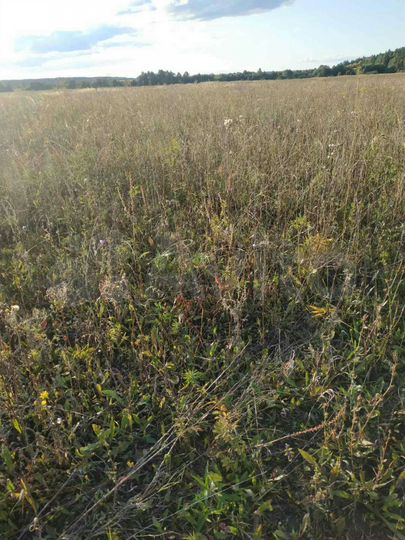 Участок 12 га (СНТ, ДНП)