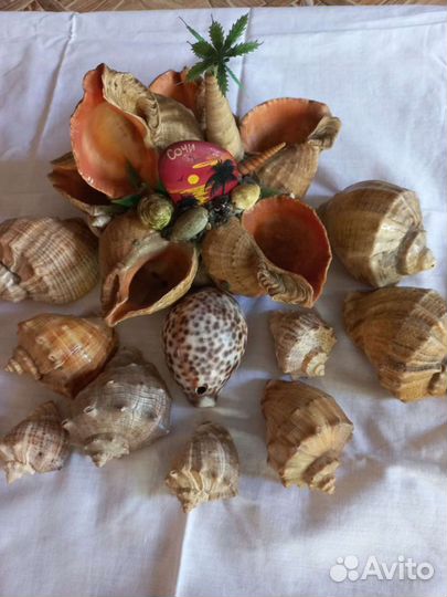 Коллекционирование