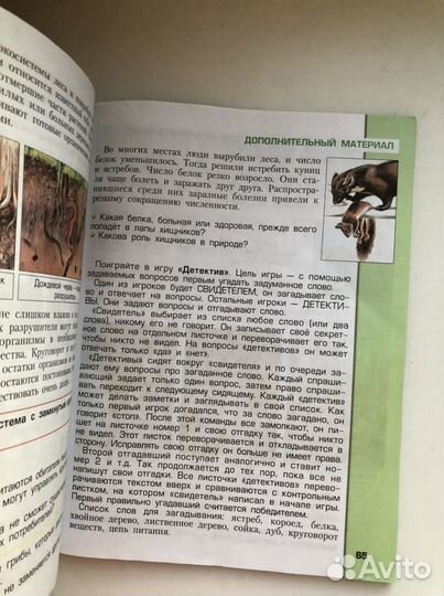 Окружающий мир 3 класс