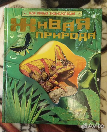 Детские энциклопедии (серия книг)