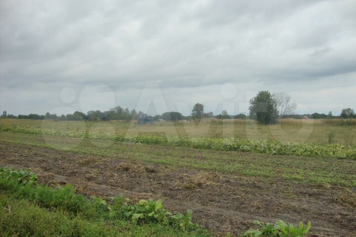 Участок 15 сот. (ИЖС)