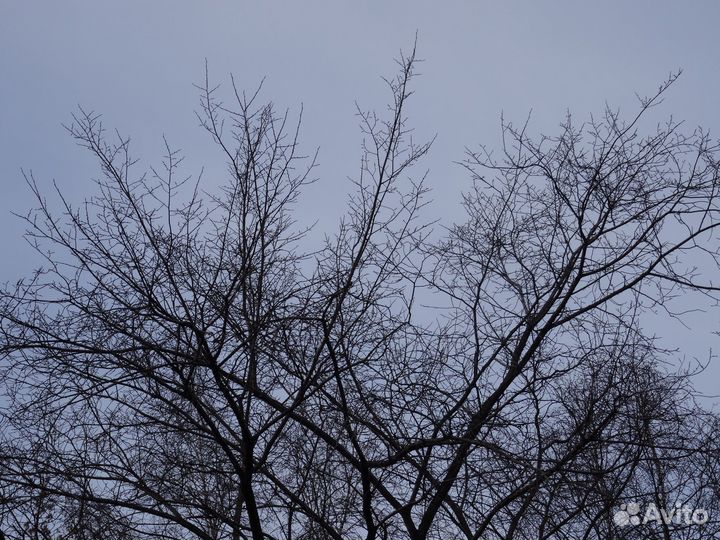 Фотоаппарат Sony Cyber-shot DSC-HX50