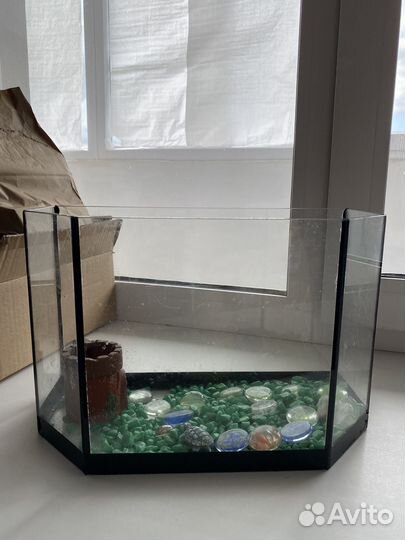 Аквариум