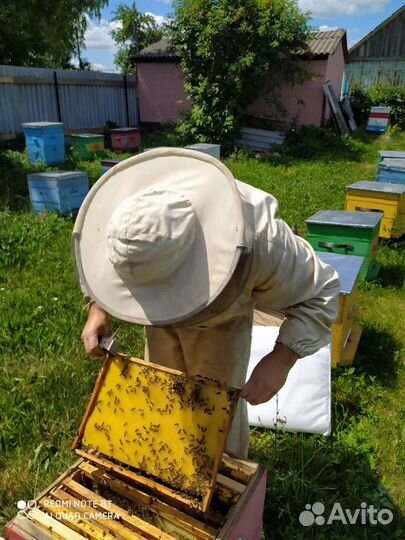 Мед натуральный