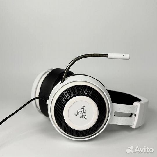 Razer Kraken Pro v2