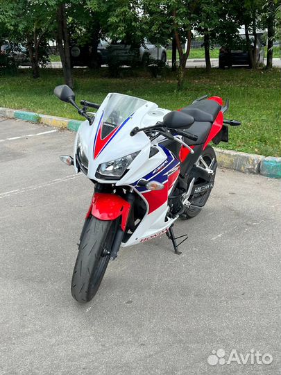 Honda cbr300r