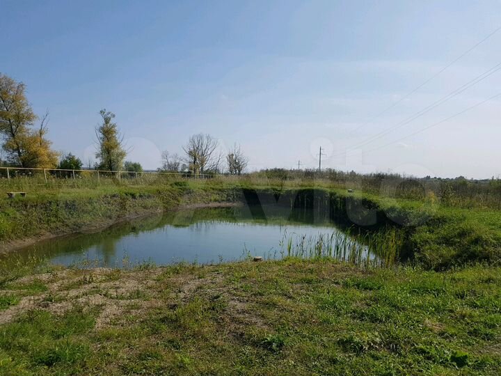 Участок 12 сот. (СНТ, ДНП)